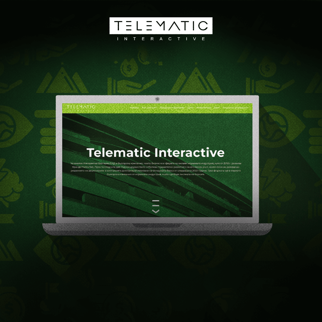 TELEMATIC INTERACTIVE - DEVELOPING A CLEAN AND PROFESSIONAL WEBSITE